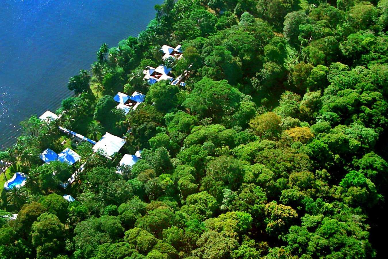 Aerial Tortugero - Wild Costa Rica