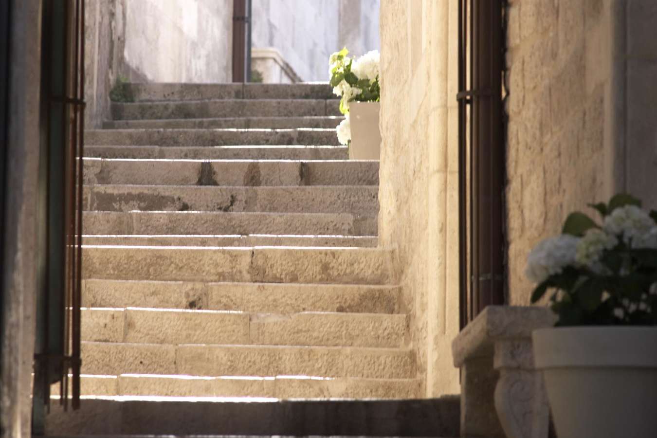 Lesic Dimitri Palace