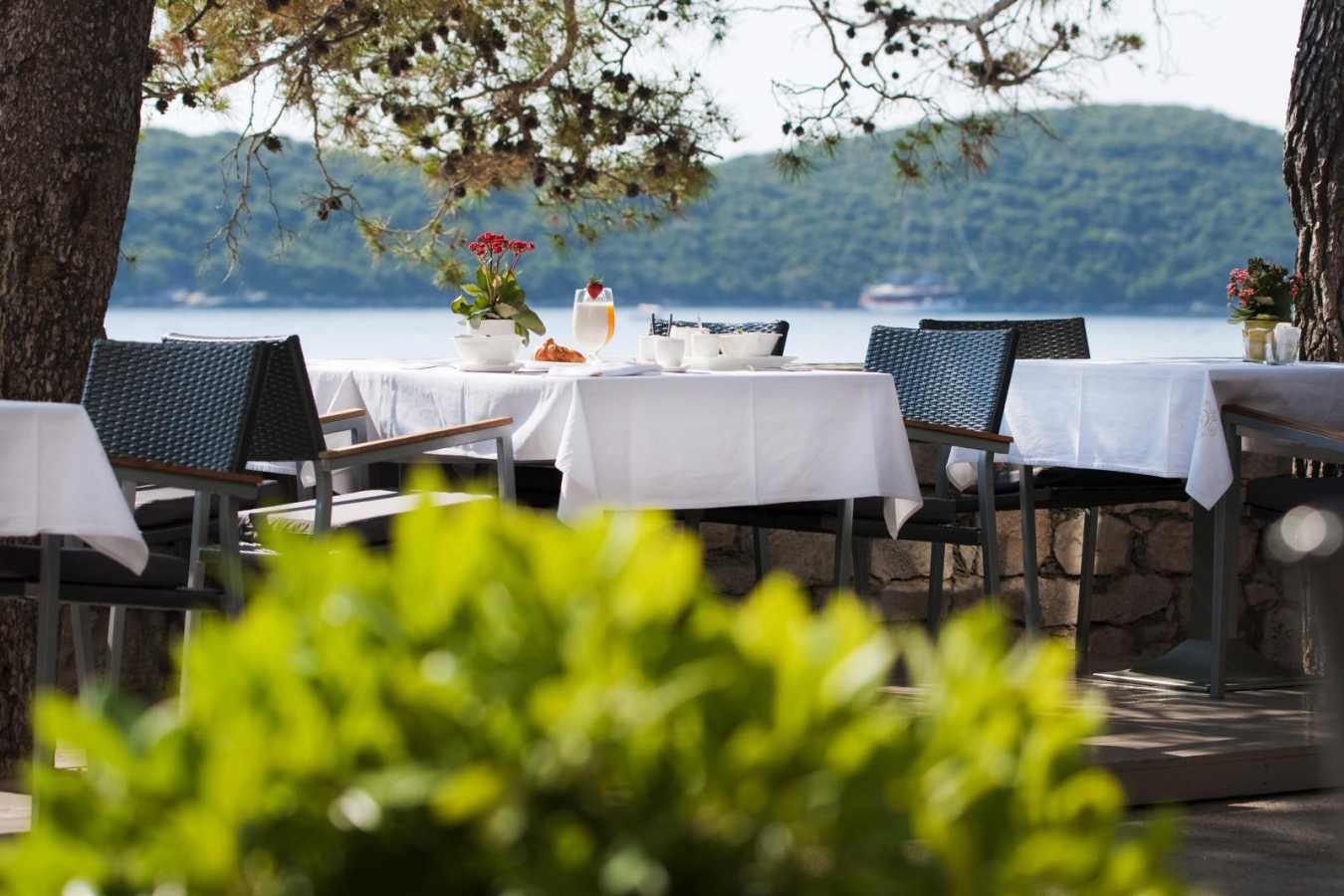 Lesic Dimitri Palace