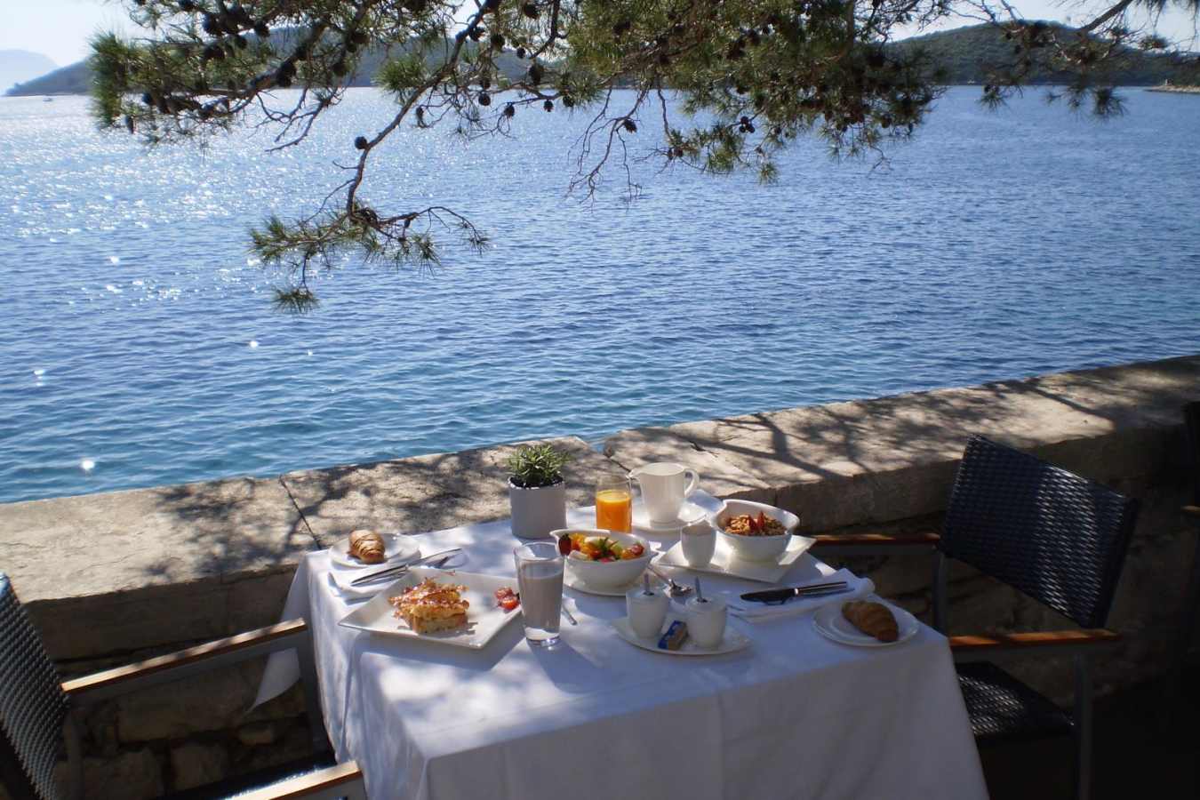 Lesic Dimitri Palace