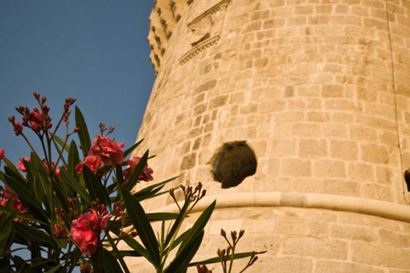 Lesic Dimitri Palace