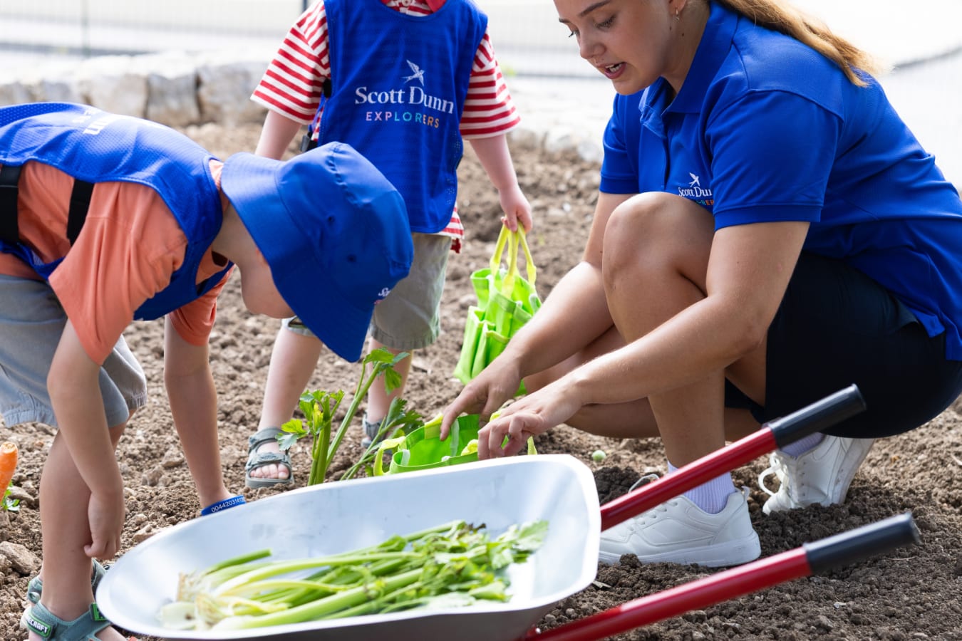 gardening 