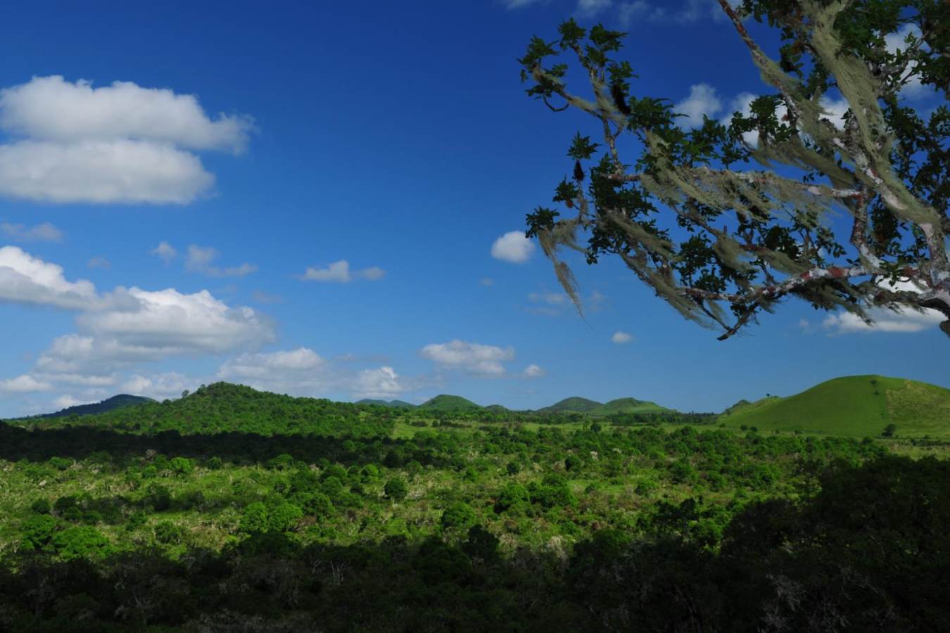 View from the camp - Galapagos Safari Camp