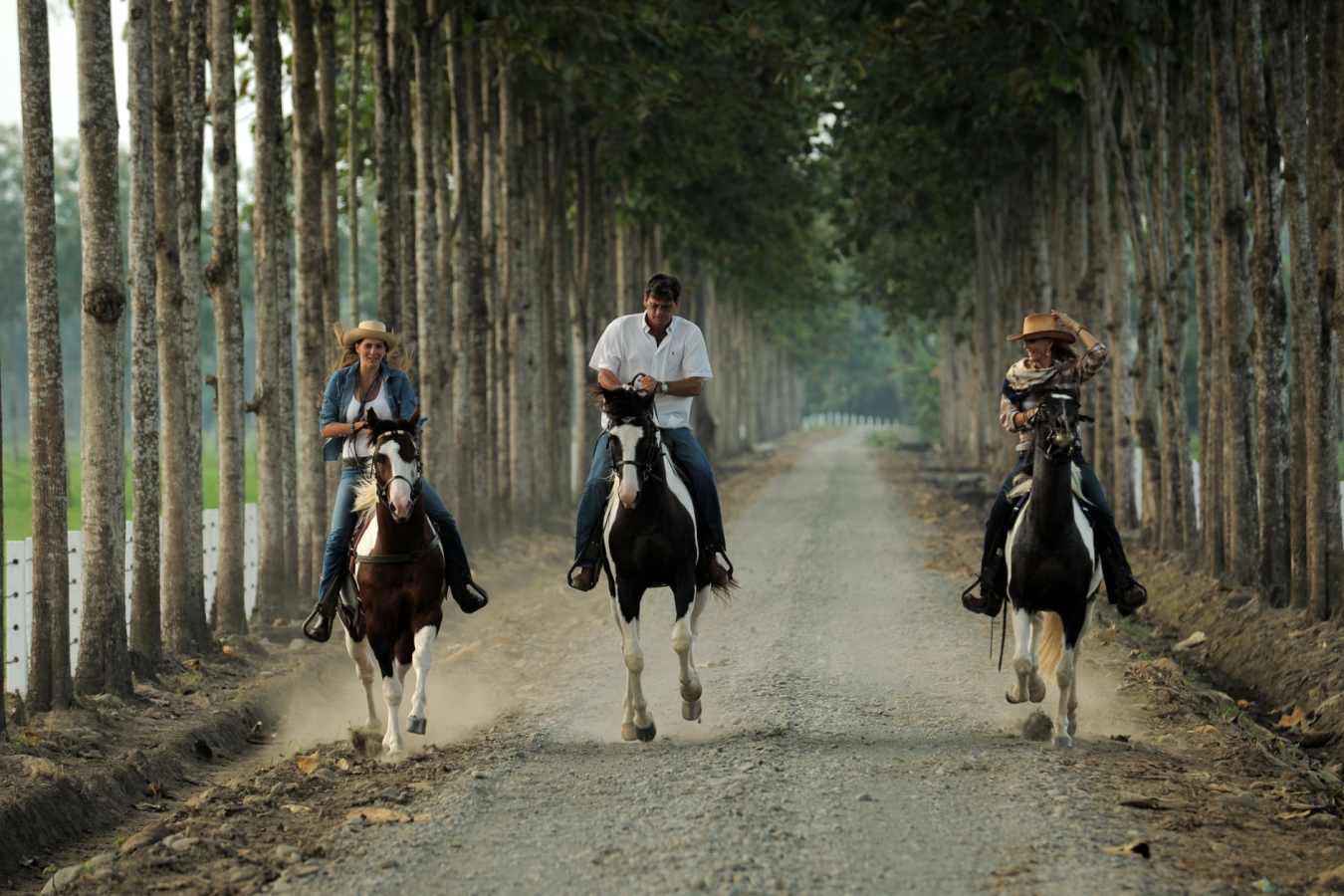 Horse riding
