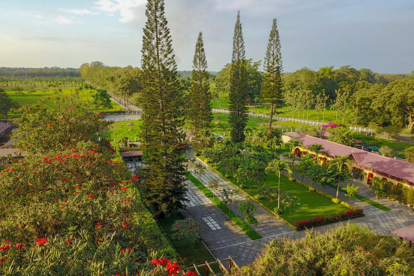Gardens and grounds