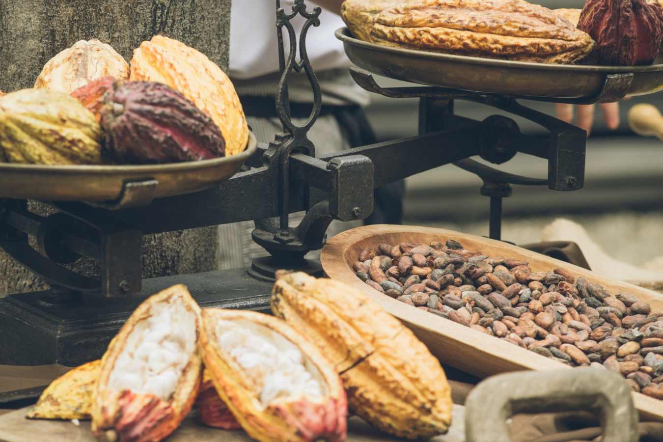 Cacao and chocolate - Hotel del Parque