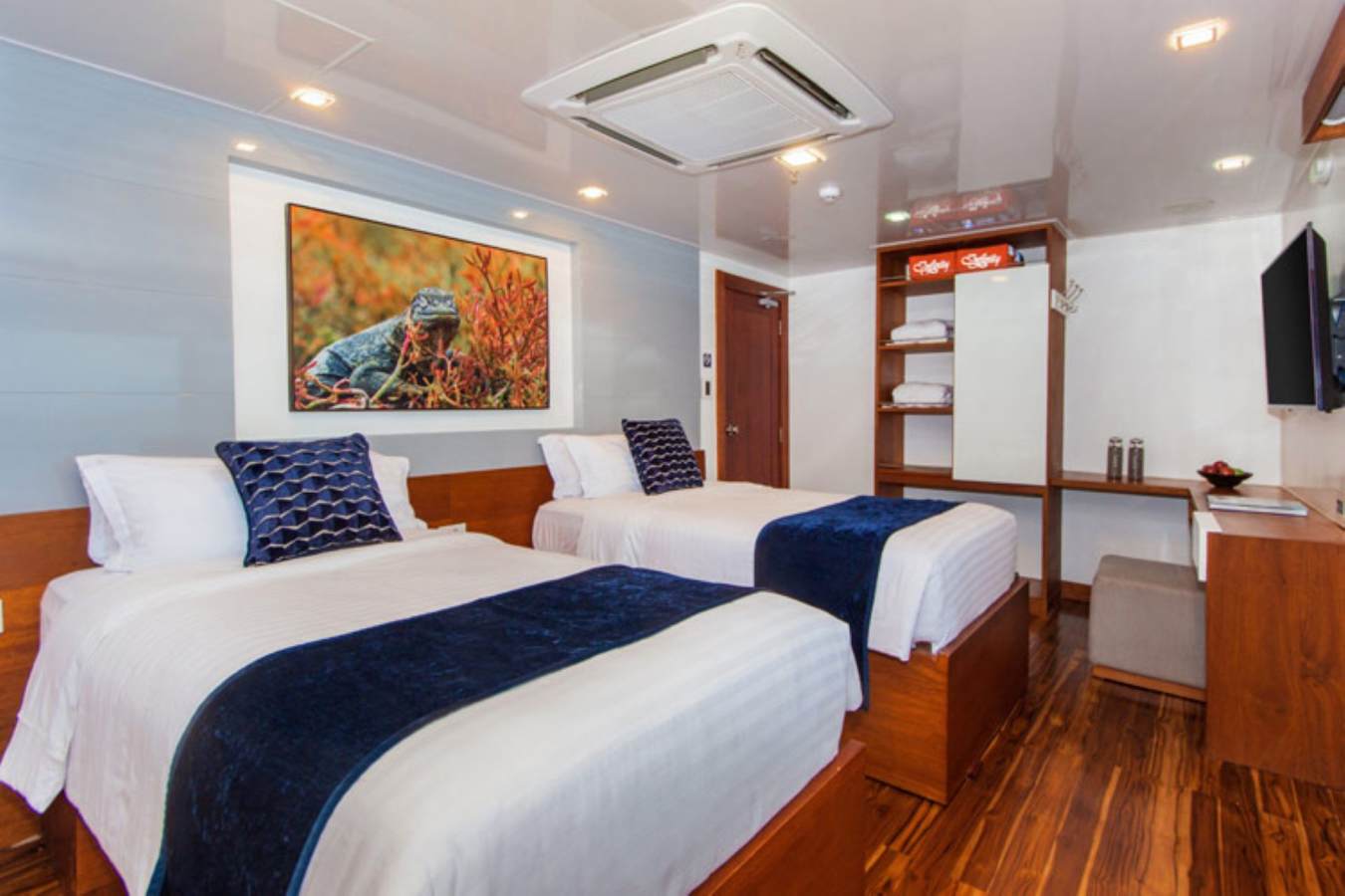 Infinity Galapagos Yacht - twin room 