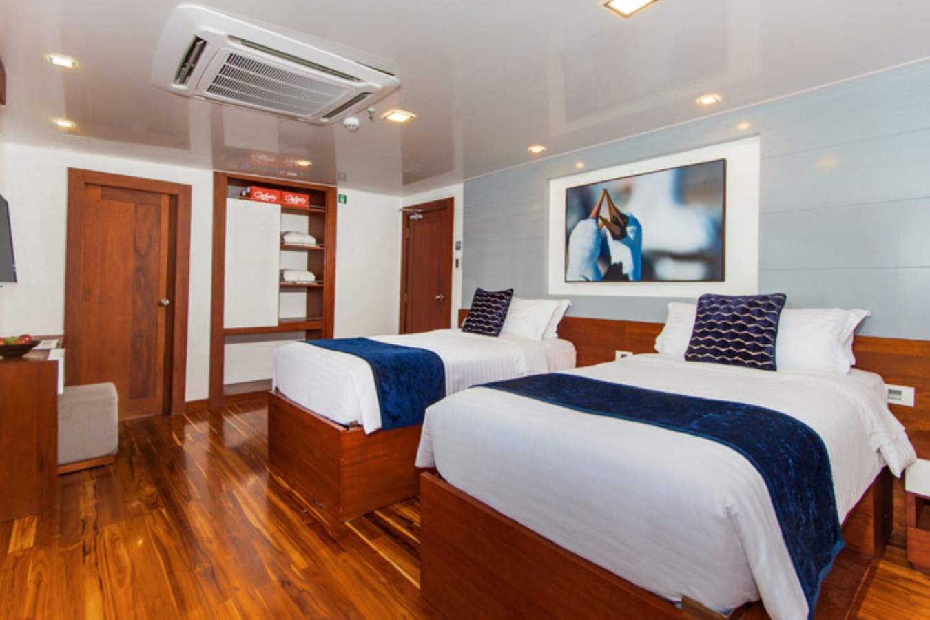 Infinity Galapagos Yacht - twin room 