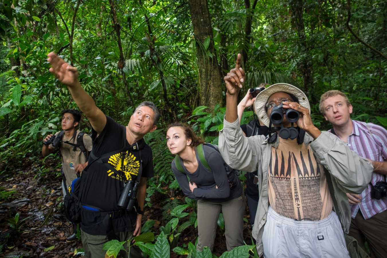 Wildlife spotting  - La Selva Jungle Lodge