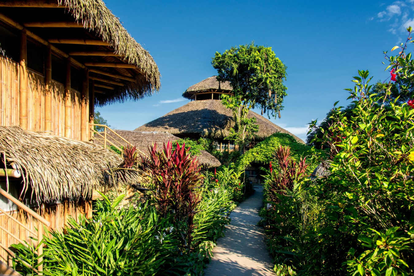 Lodge exterior  - La Selva Jungle Lodge