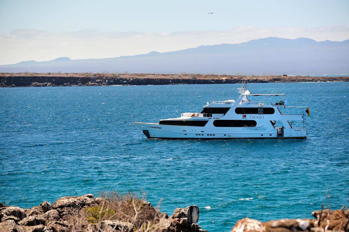 Pikaia I boat - Pikaia Lodge