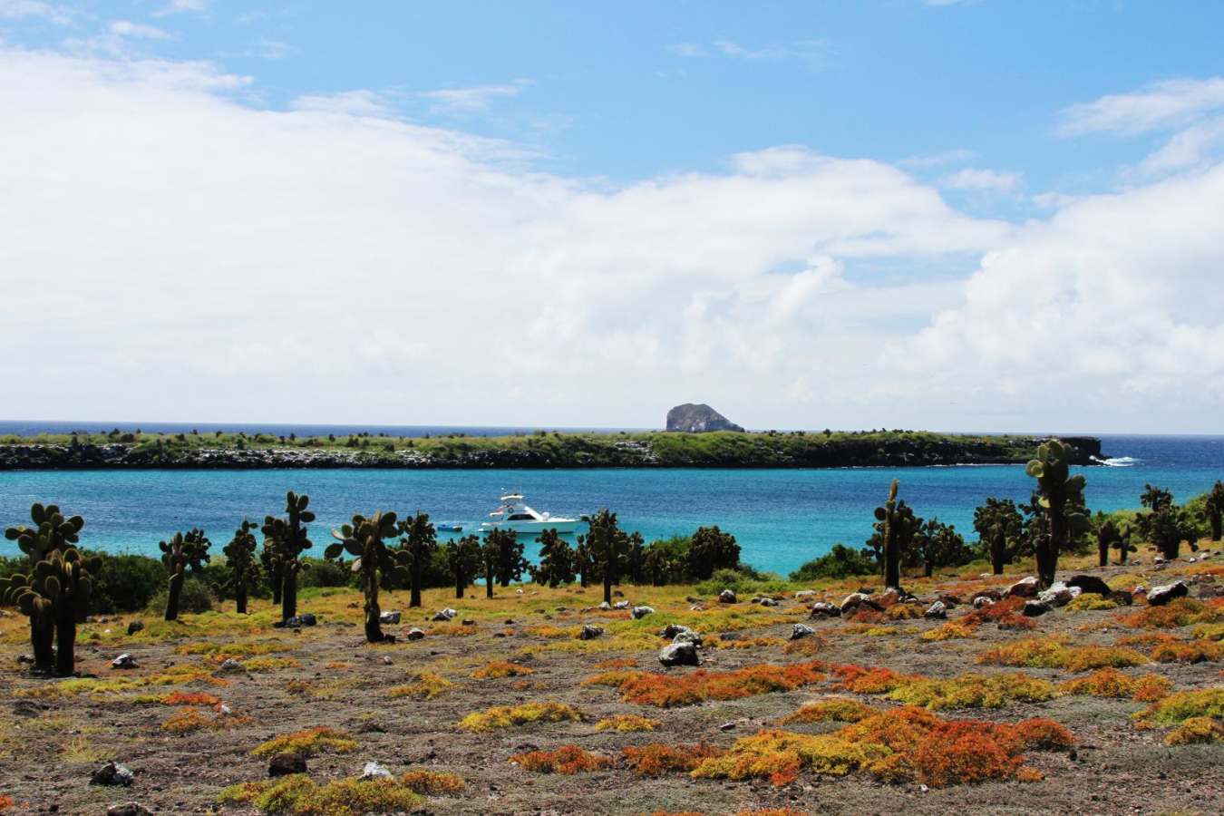 Out in the wild - Pikaia Lodge