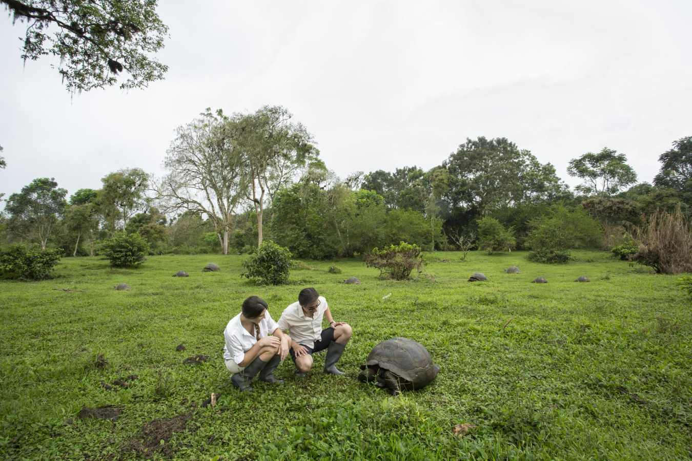 Giant Tortoise  - The Finch Bay Eco Hotel
