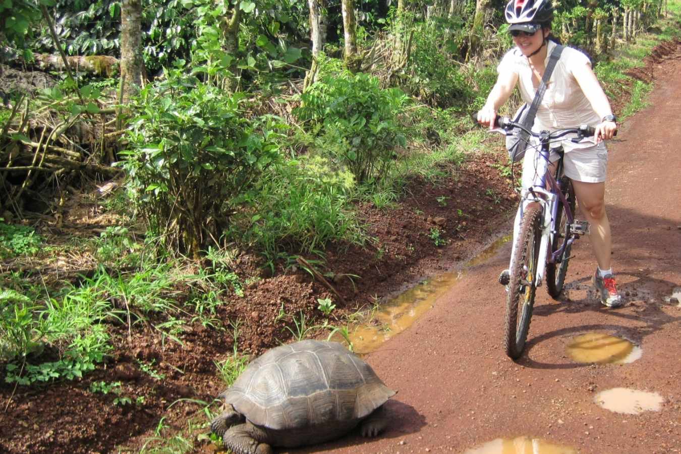 Biking on Santa Cruz