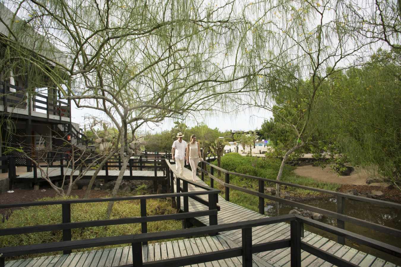 Gardens and walkways