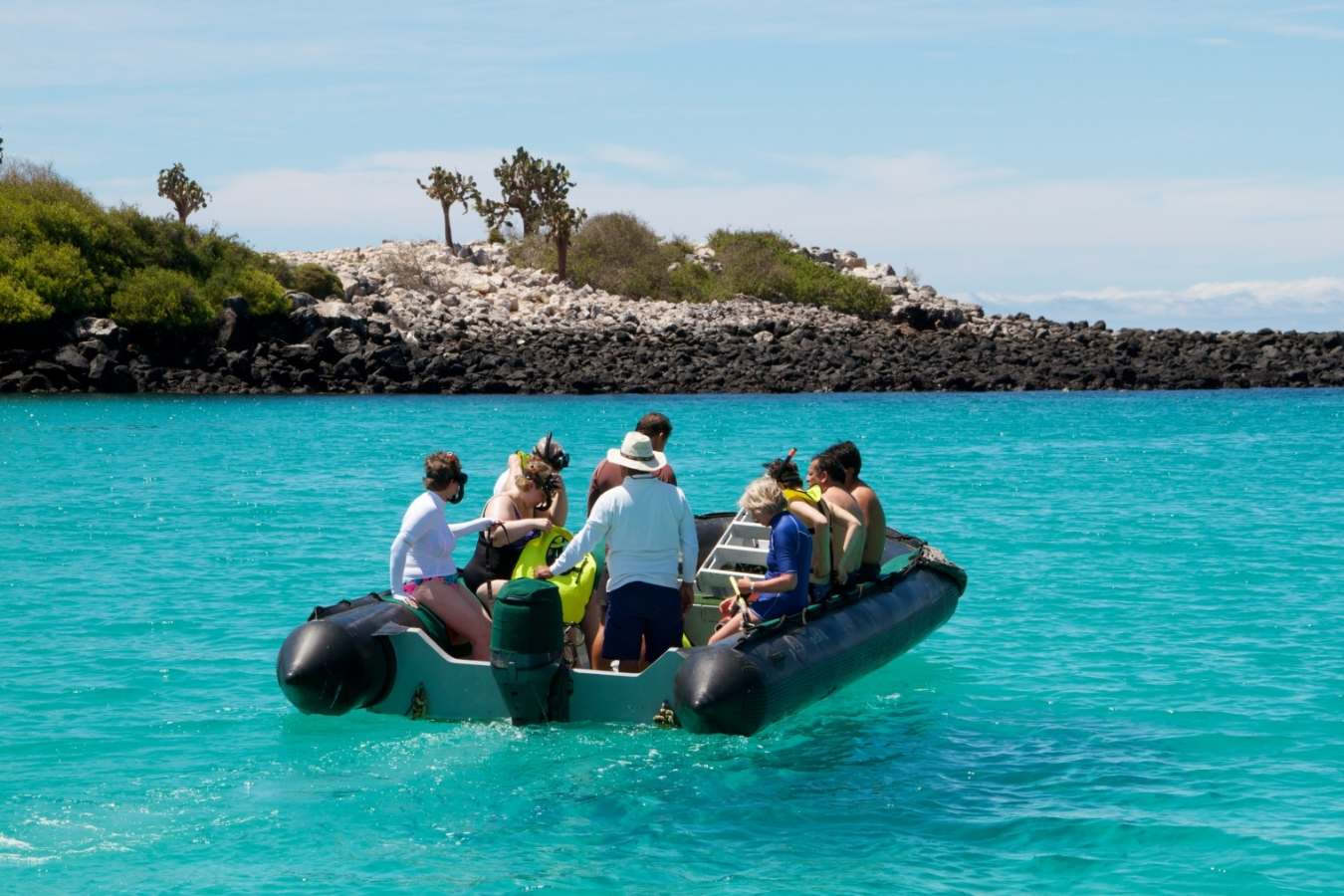 Excursions on the Sea Lion