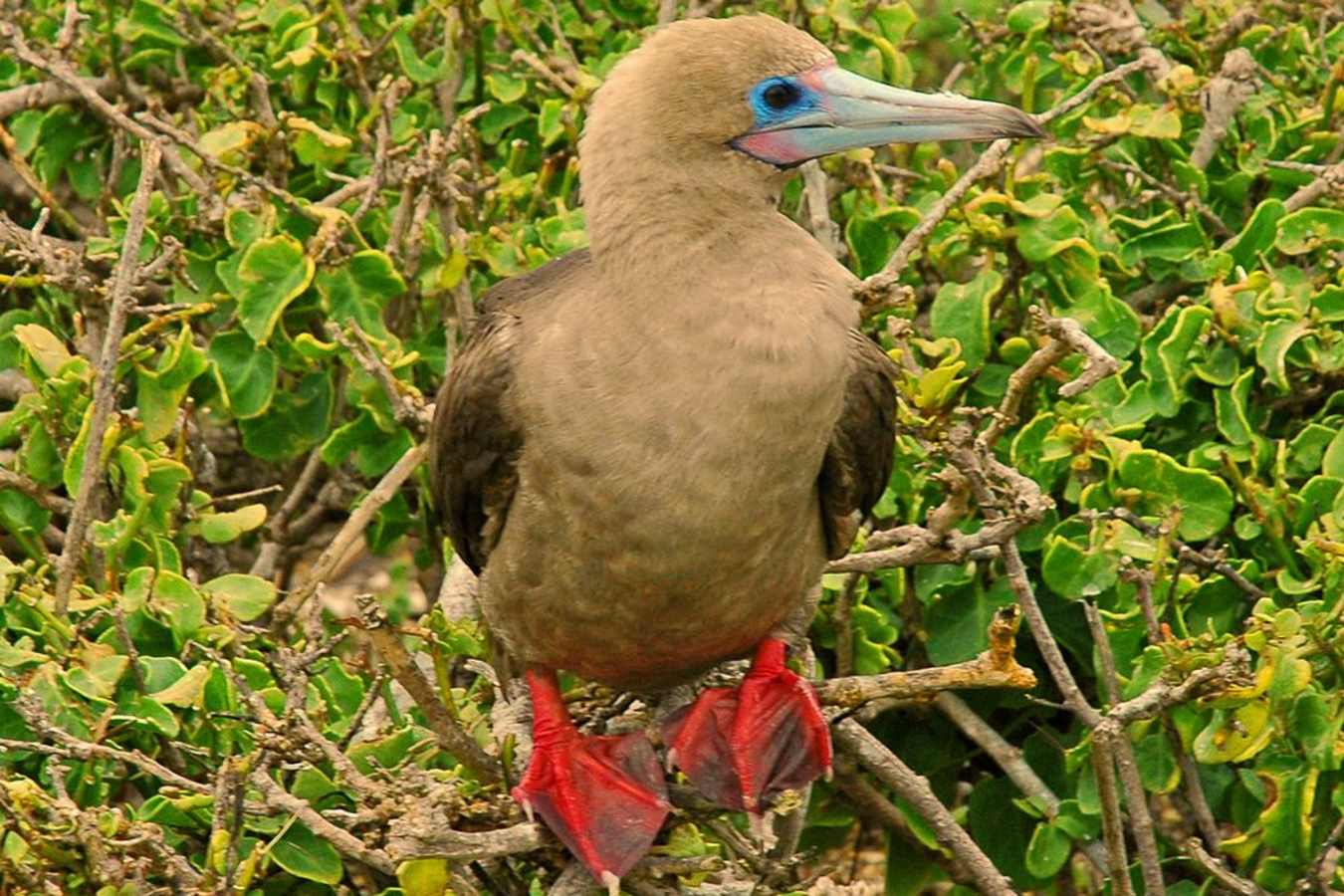 Ecuador and Galapagos with Kids