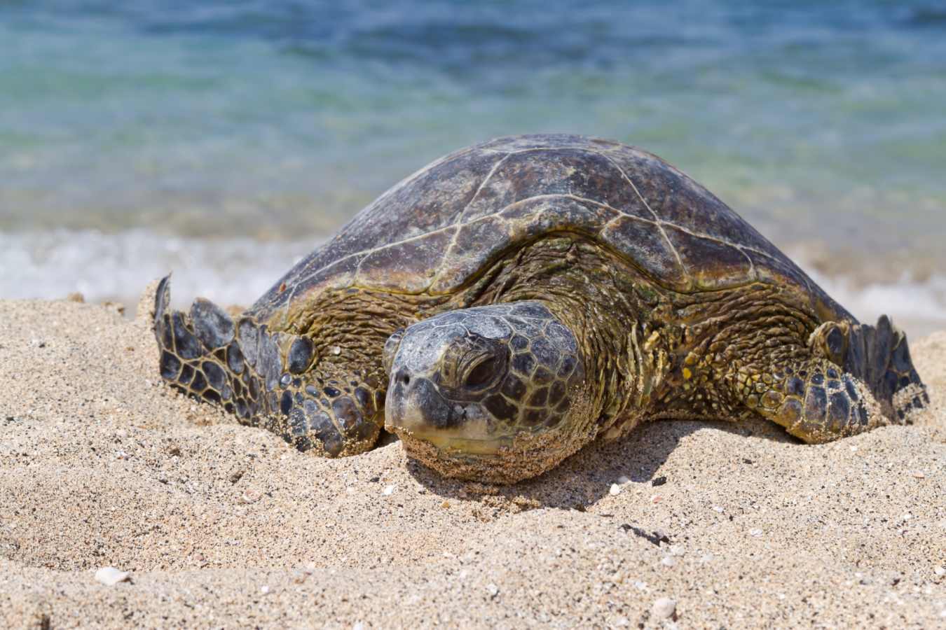 Ecuador and Galapagos with Kids