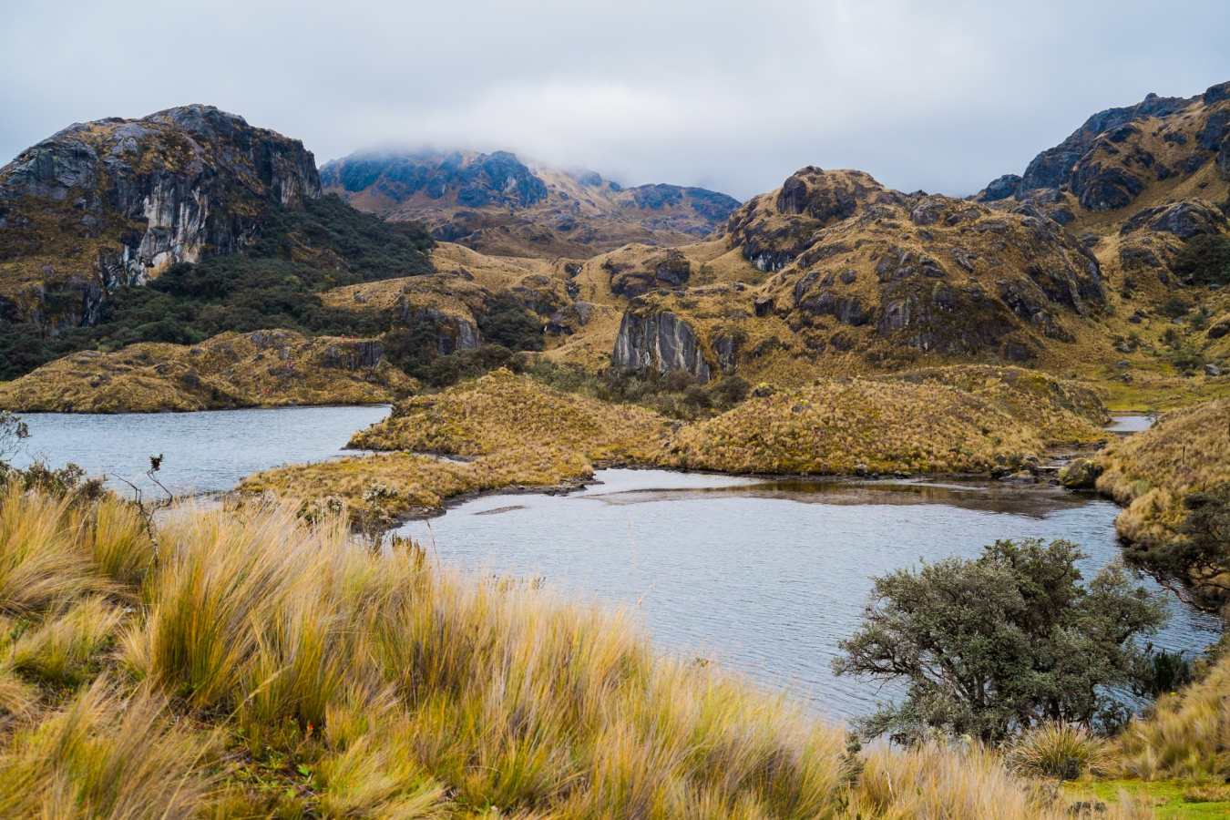Cajas National Park 