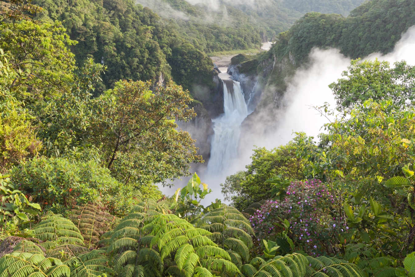 Honeymoon - Ecuador and Galapagos Honeymoon
