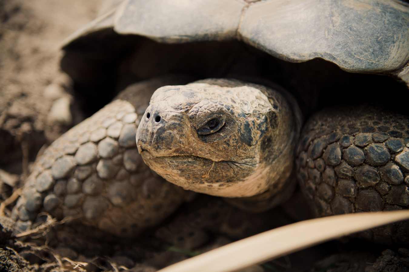 Ultimate Peru and Galapagos