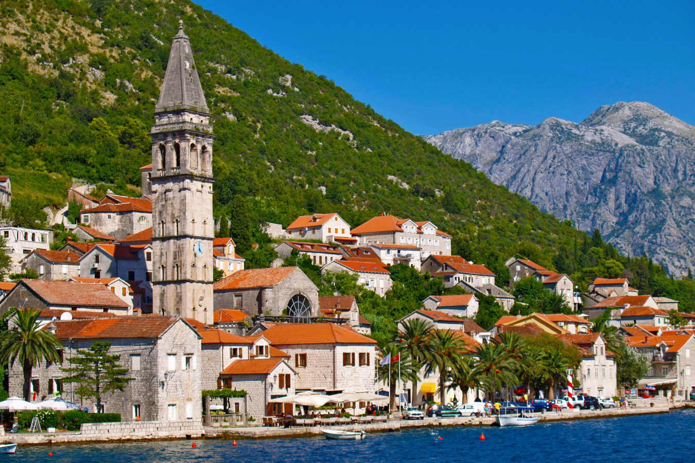 Kotor