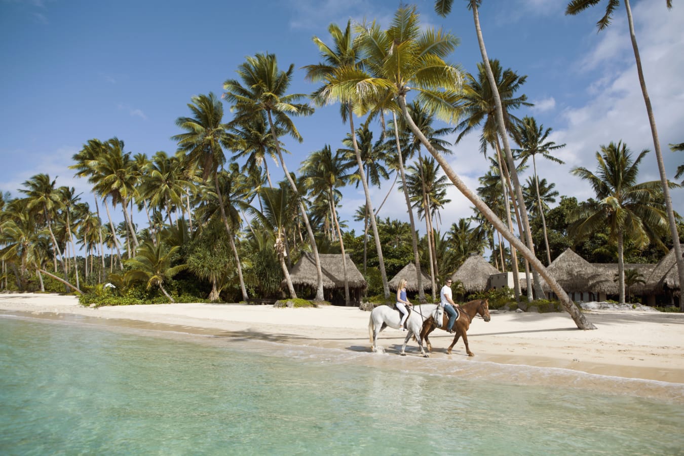 COMO Horseback Riding
