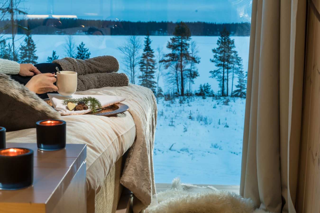 View - Arctic Treehouse Hotel