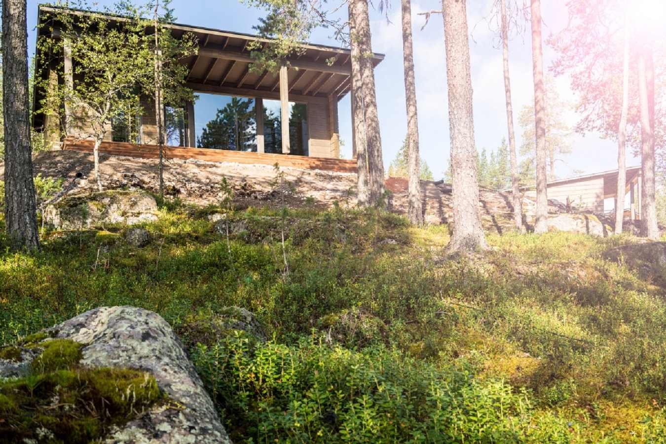 Glass House - Arctic Treehouse Hotel