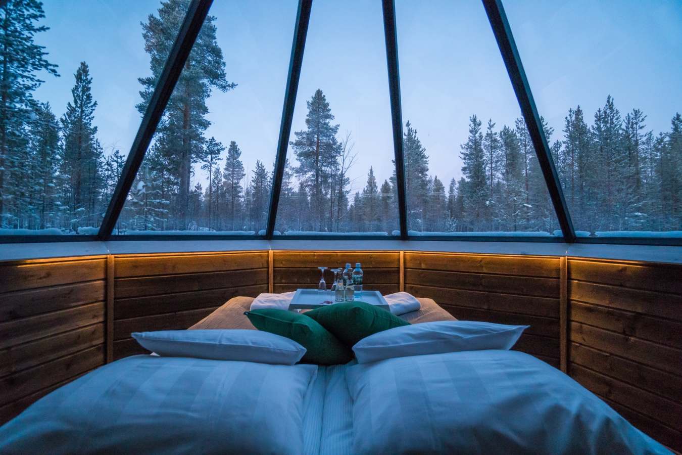 Cabin bed and interior