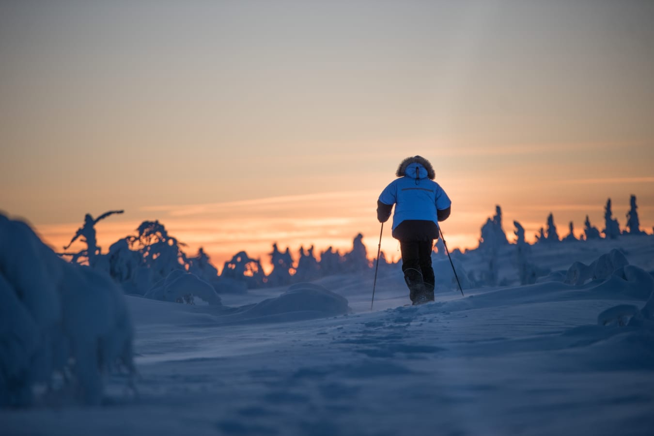 Snowshoeing - Javri Lodge