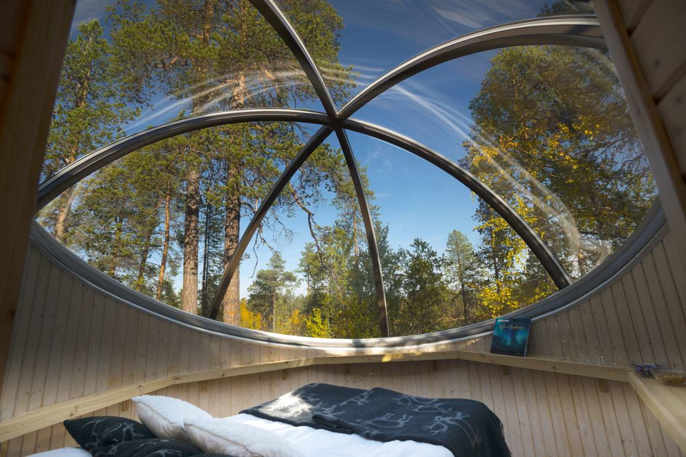 Aurora Bubble