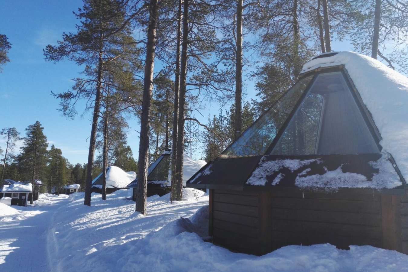 Aurora Hut
