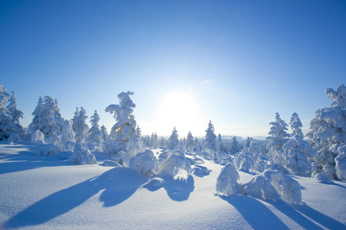 Snowy scenery - A magical trip to visit Father Christmas