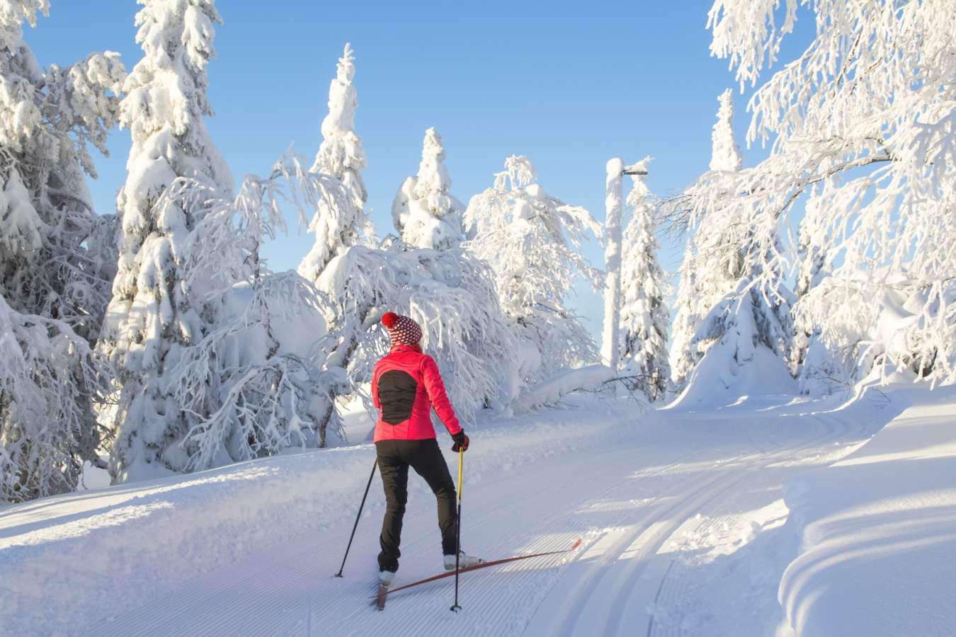 Cross-country skiing - Simply Finnish Lapland