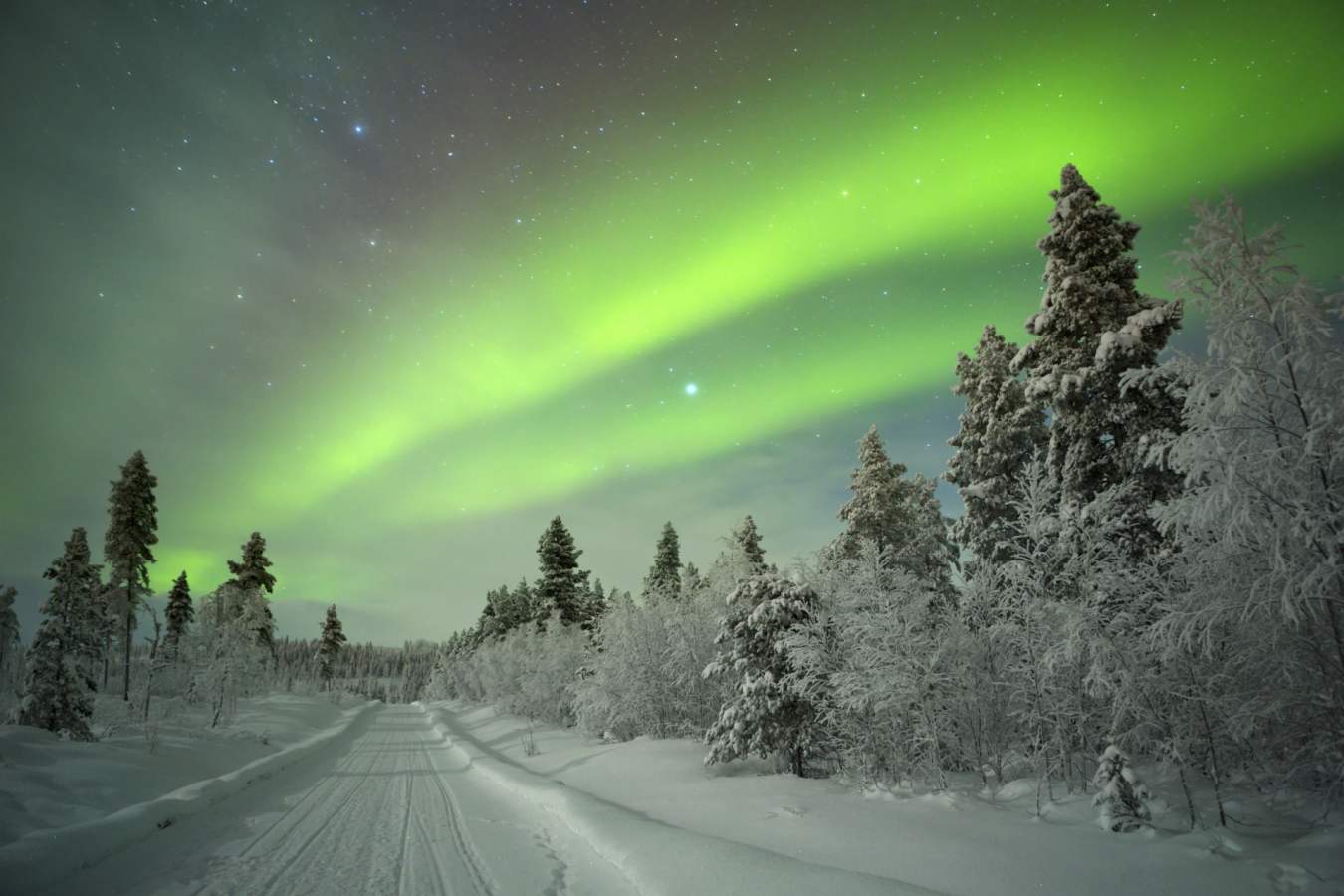 Northern Lights - Simply Finnish Lapland