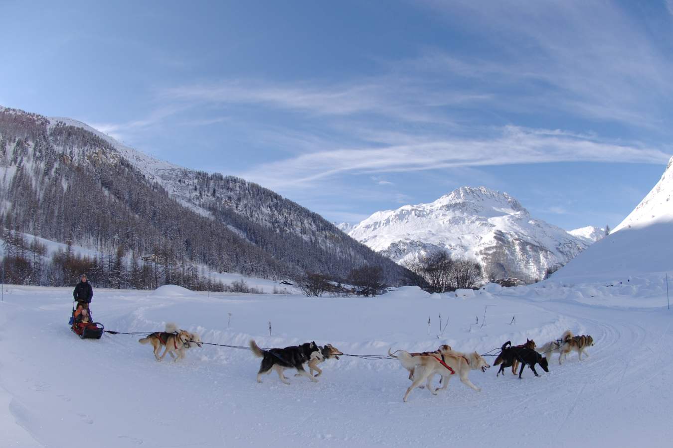 Dog sledding