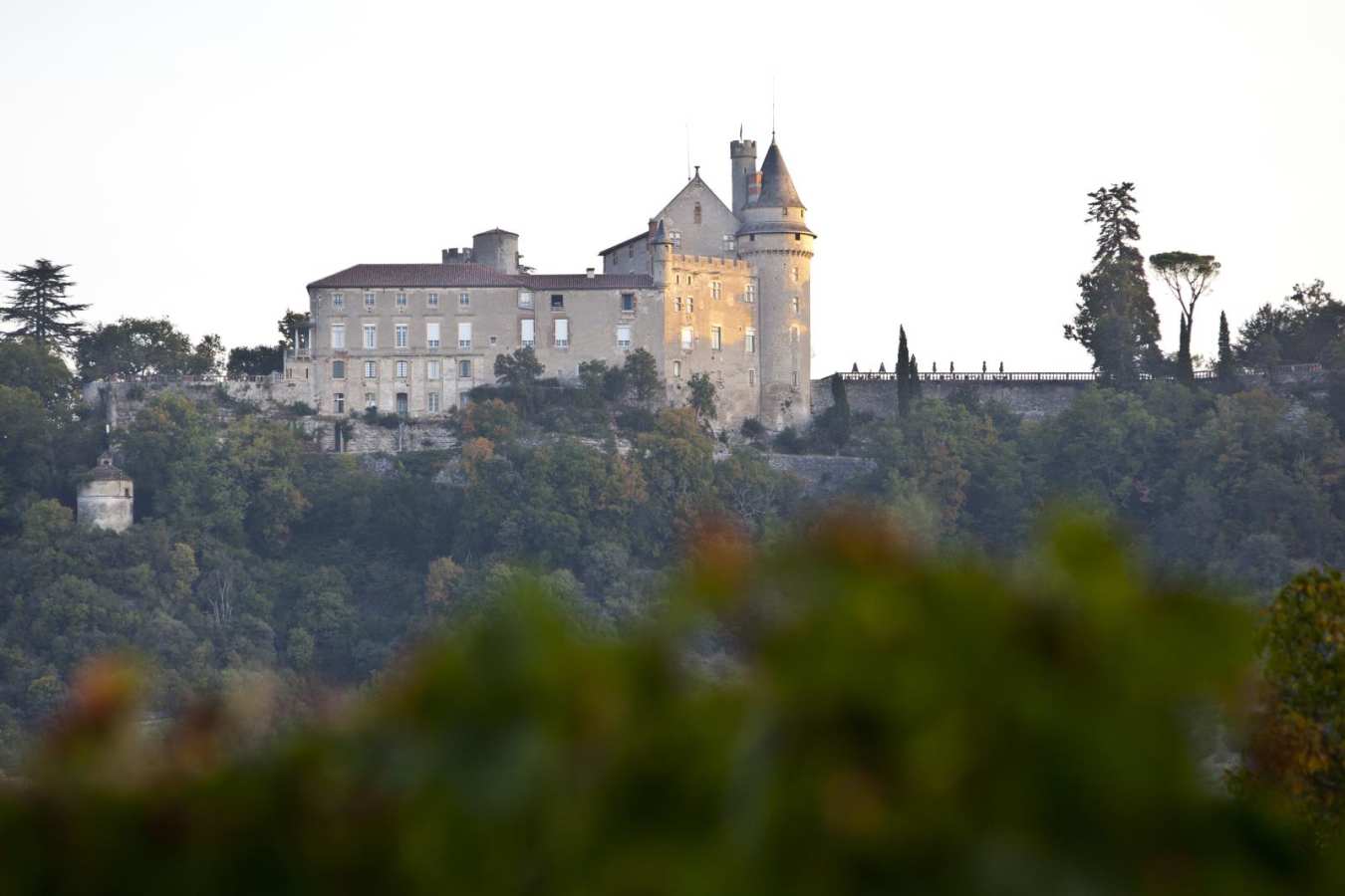 From afar - Chateau de Mercuès
