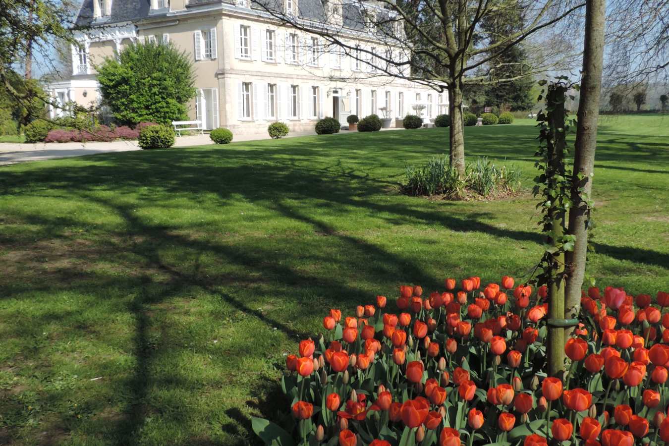 Chateau exterior - Chateau La Chenevière