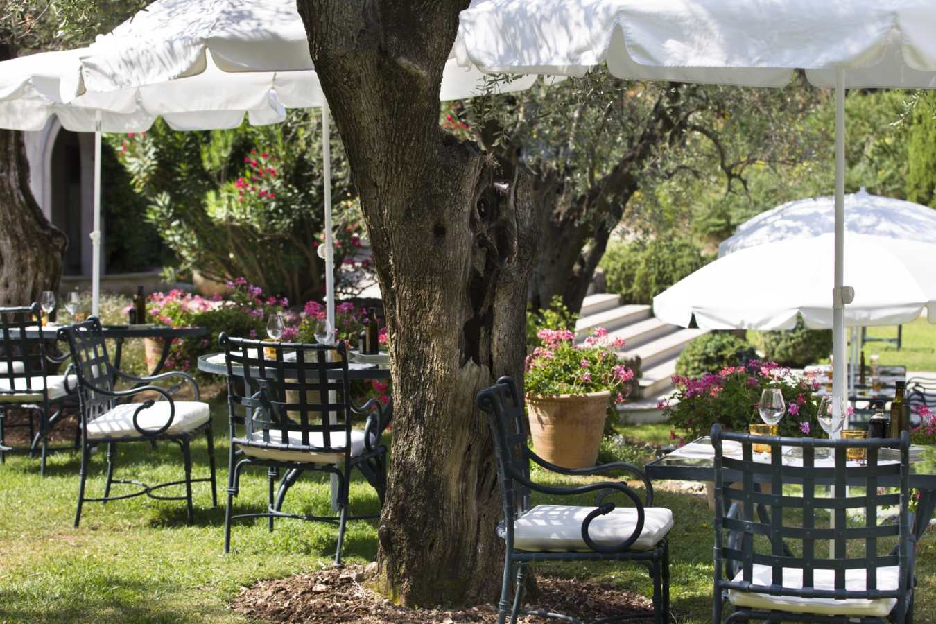L'Oliveraie_restaurant - Chateau Saint Martin