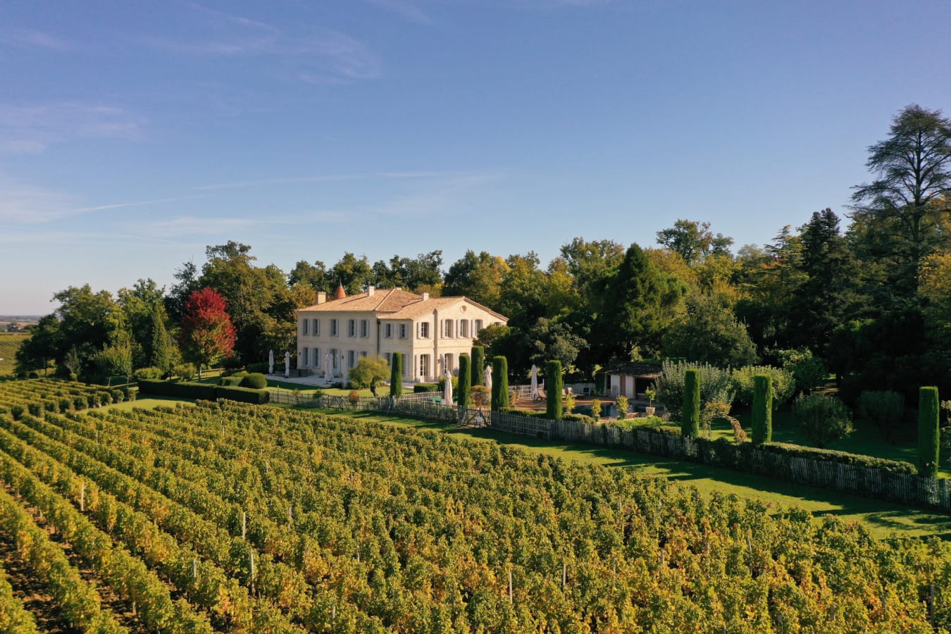 Chateau Troplong Mondot - vue drone 