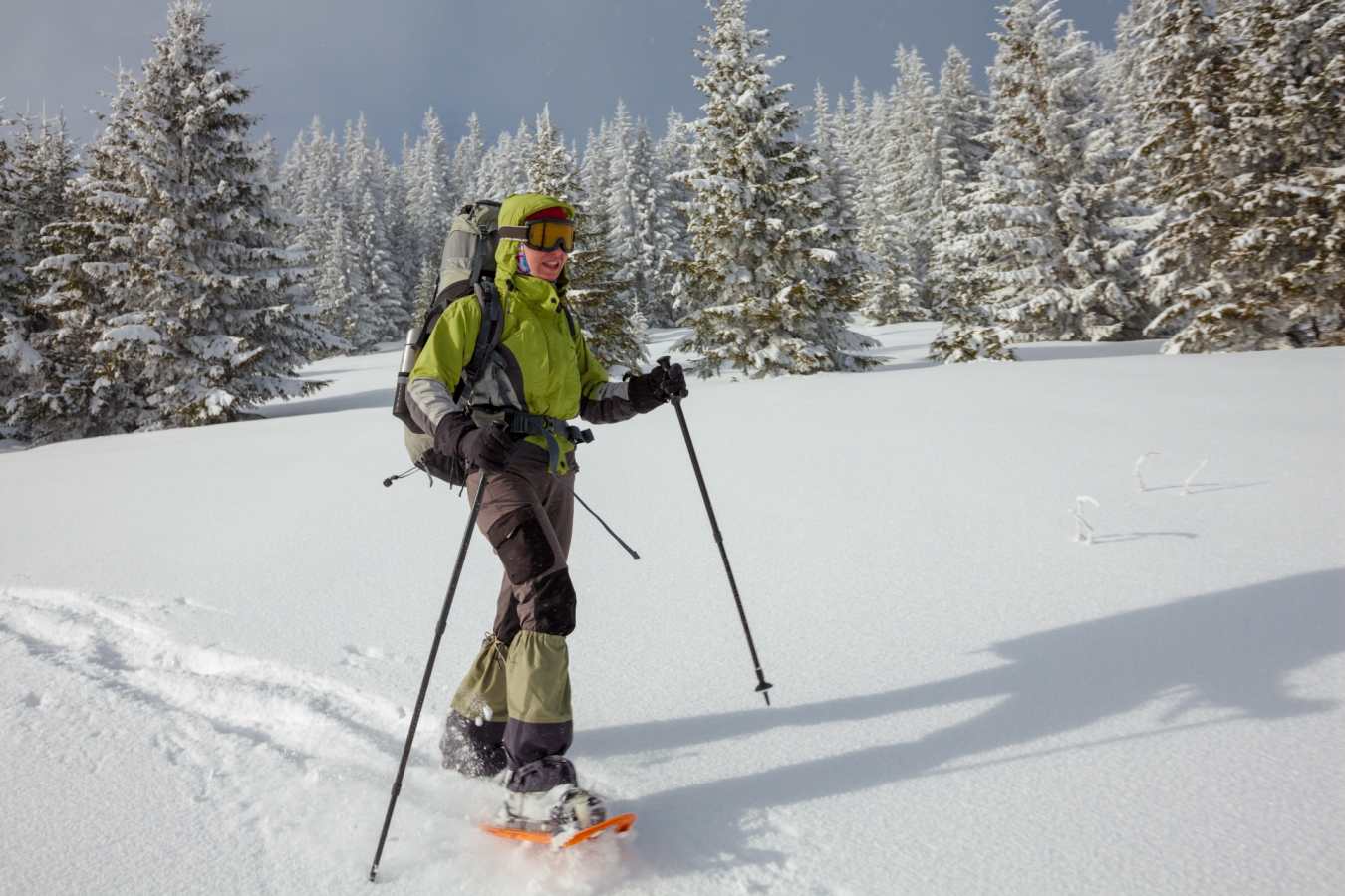 Snowshoeing - Chamonix 