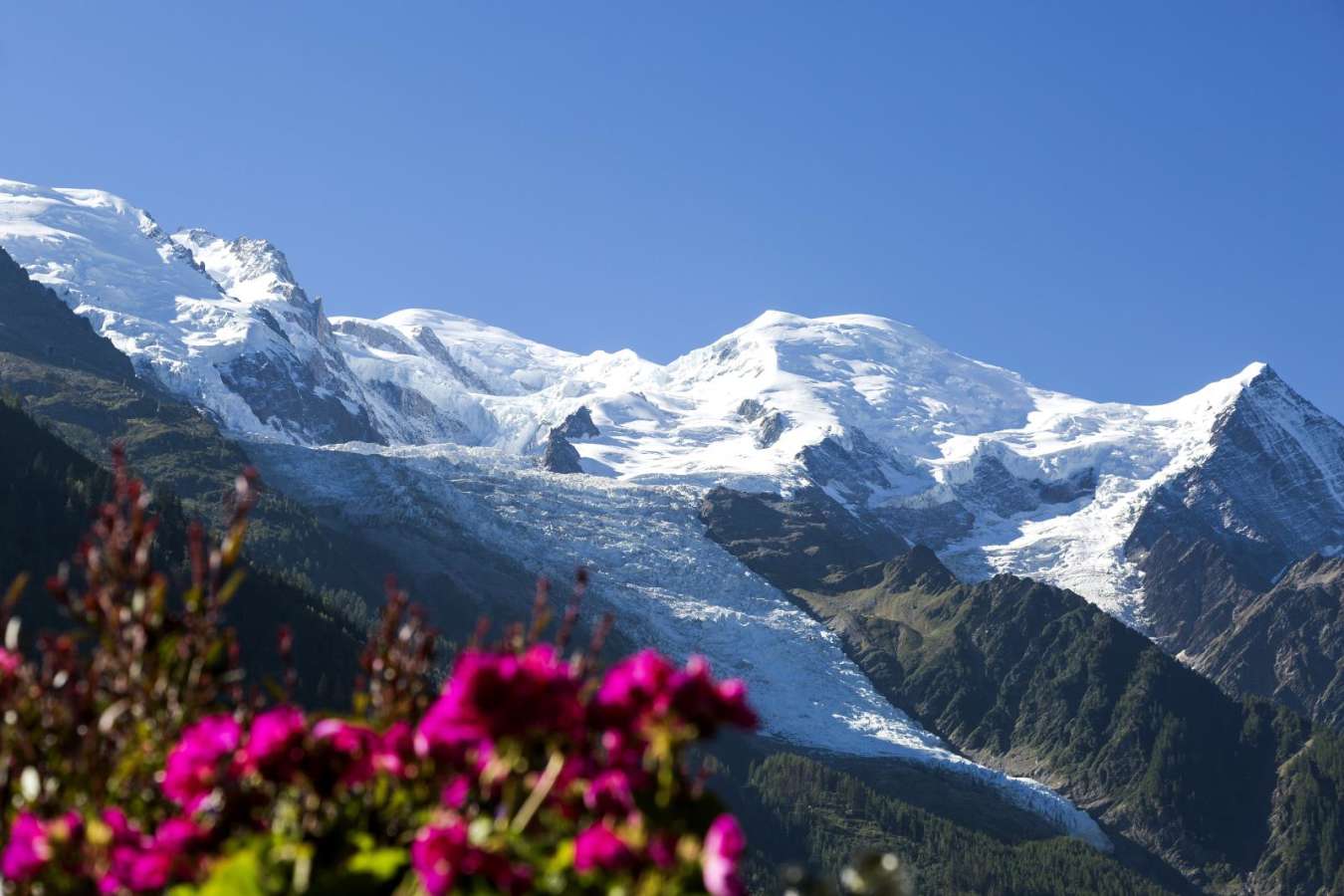View up to Mont Blanc  - Hotel Mont Blanc