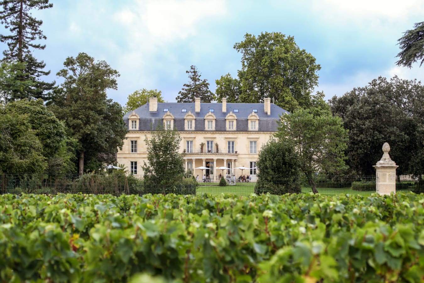 Outside View with Vineyards 