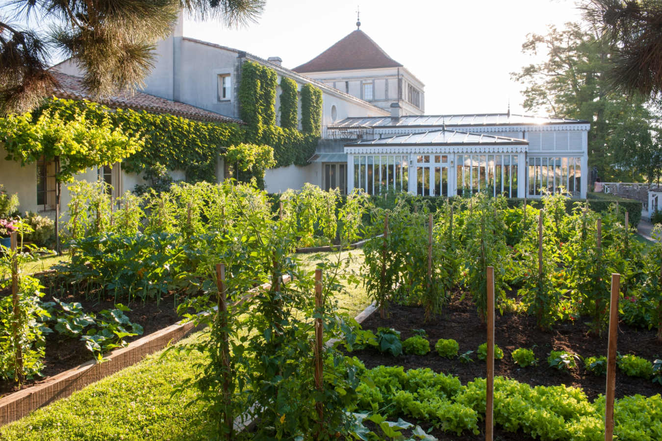 La Grand Vigne restaurant garden