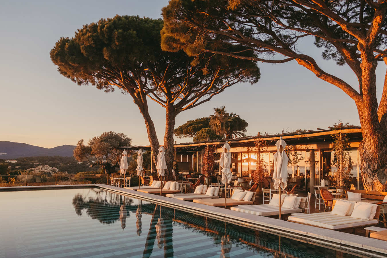 Lily of the ValleyIconic view 