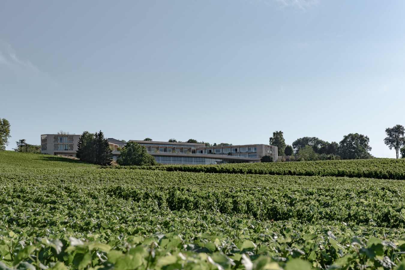 Royal Champagne exterior and vineyard