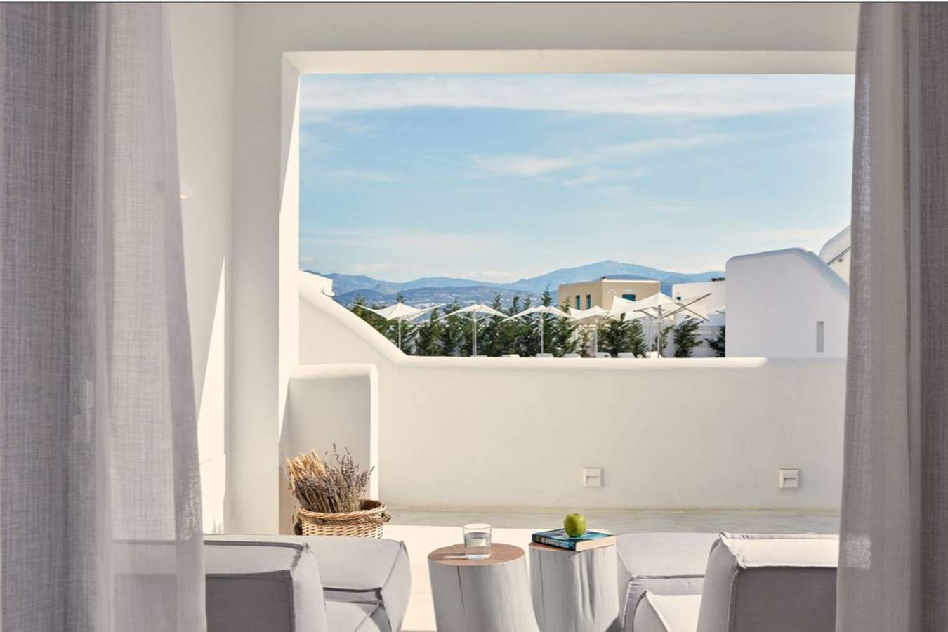 18 Grapes - Comfort Room View 