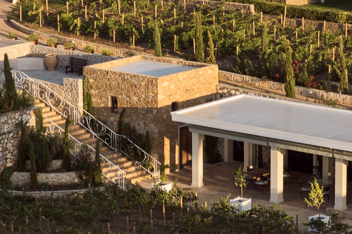 Noble House - Wine Yard 2 