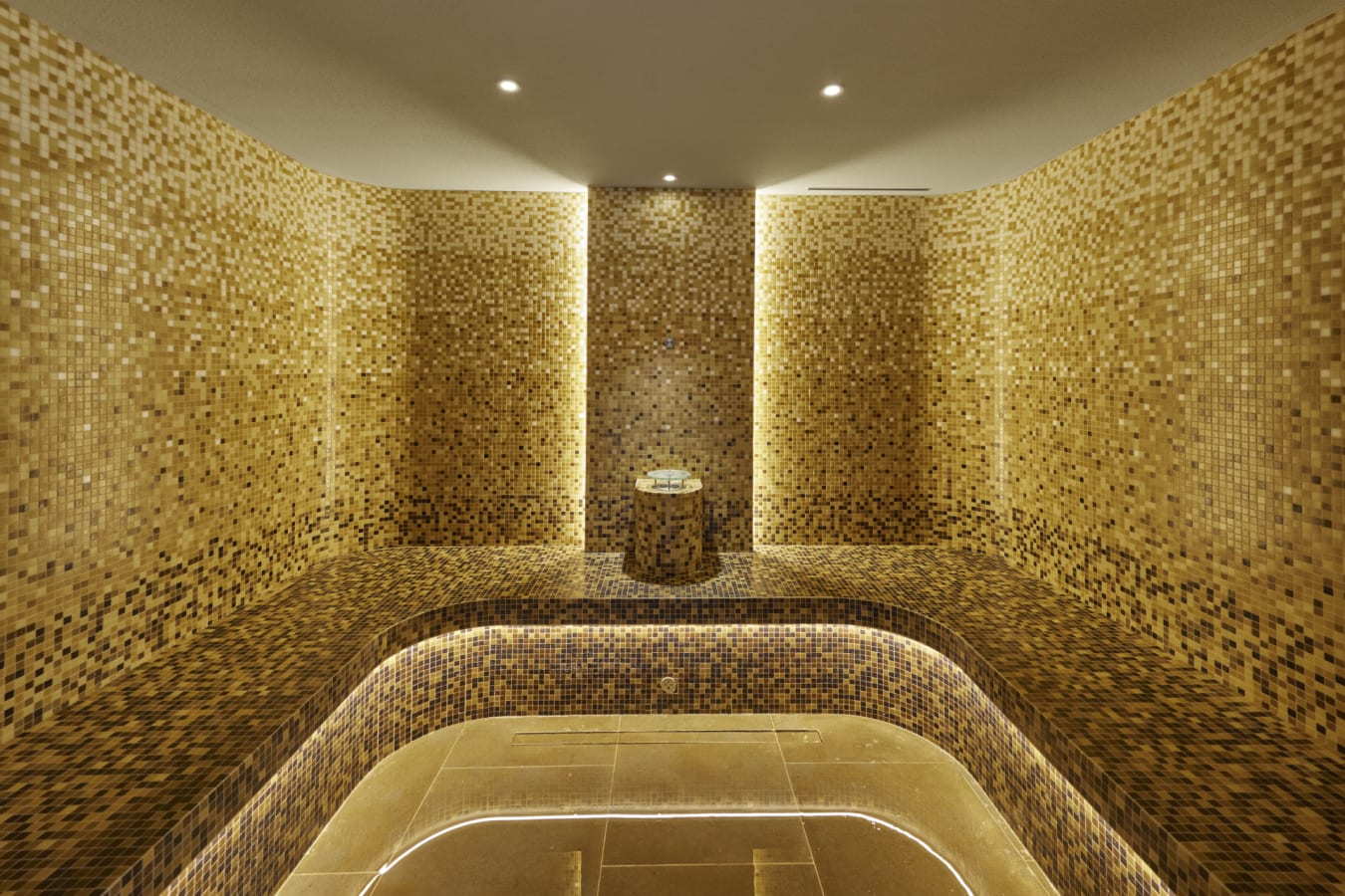 Spa Steam Room